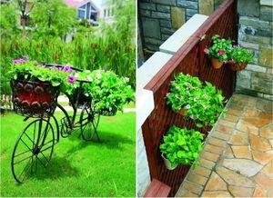 史上最全最美庭院設(shè)計(jì),我和我的伙伴們都驚呆了