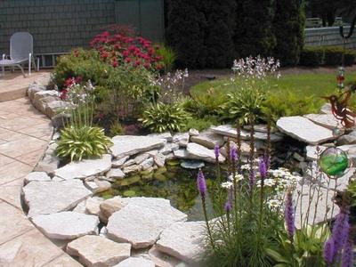 庭院水塘，靈動一方 12套農村庭院水塘設計實例參考